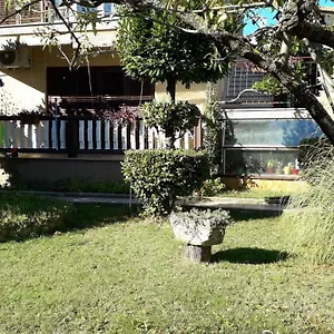 Darja Umag